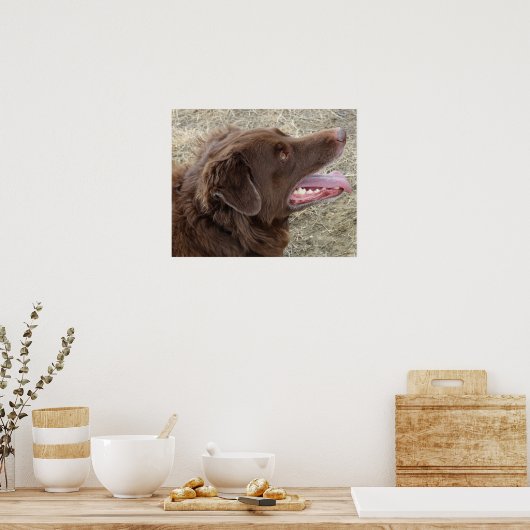 P4 Flatlandersam Profil Poster (Küche)