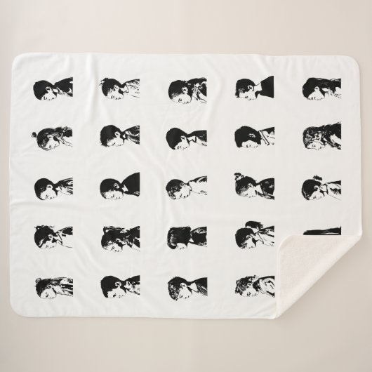 P4-Klassenzimmer Sherpadecke (Vorderseite (Horizontal))