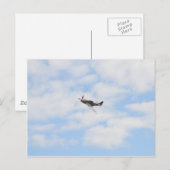 P51 Mustang im Flug Postkarte (Vorne/Hinten)