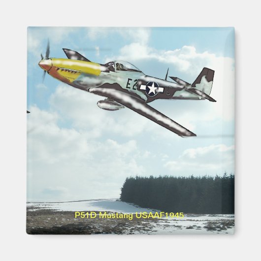 P51D Mustang Magnet (Vorne)