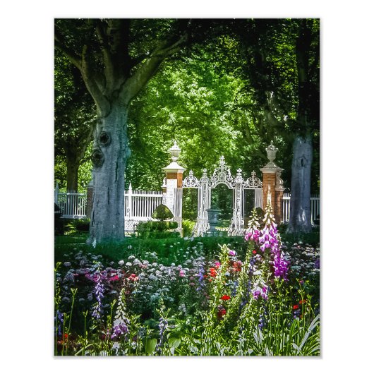 P5270048-Governor's Palace Gardens Fotodruck (Vorne)