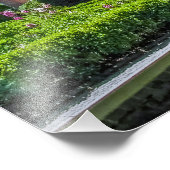 P527004(1)-Governor's Palace Garden Fotodruck (Ecke)