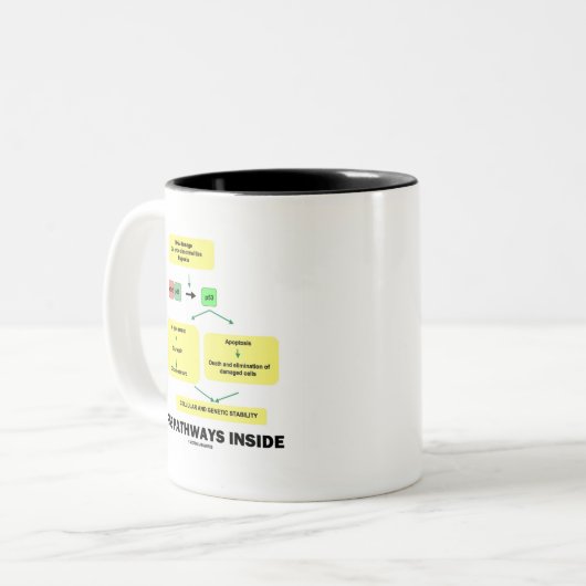 P53 Wege im Inneren (Zellmolekularbiologie) Zweifarbige Tasse (Vorderseite Links)