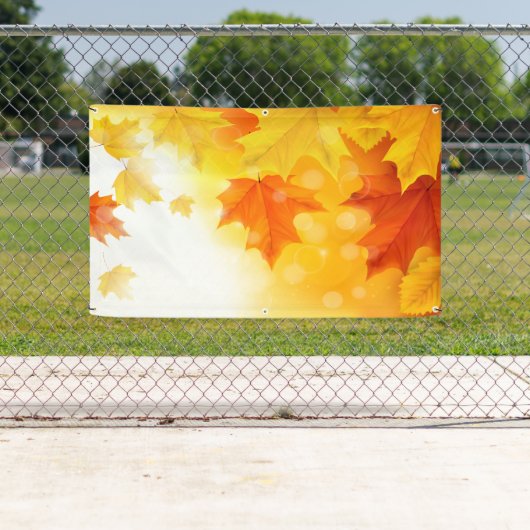 p581 banner (Insitu)