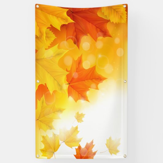 p581 banner (Vertikal)