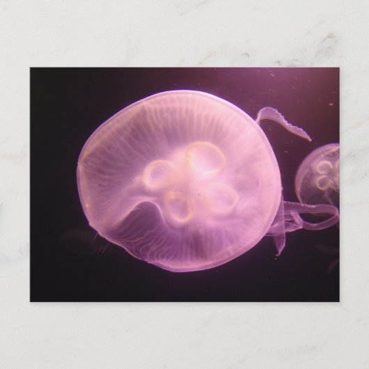 P6250304 POSTKARTE (Vorderseite)