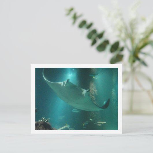 P6250309 POSTKARTE (Stehend Vorderseite)