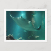 P6250309 POSTKARTE (Vorderseite)