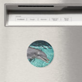 P8010404, Nassau, Bahamas Magnet (In Situ (Geschirrspüler))