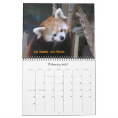 P8310607, Liebe die Red Pandas!, ... -Gestalted Kalender (Feb 2027)