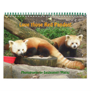 P8310607, Liebe die Red Pandas!, ... -Gestalted Kalender