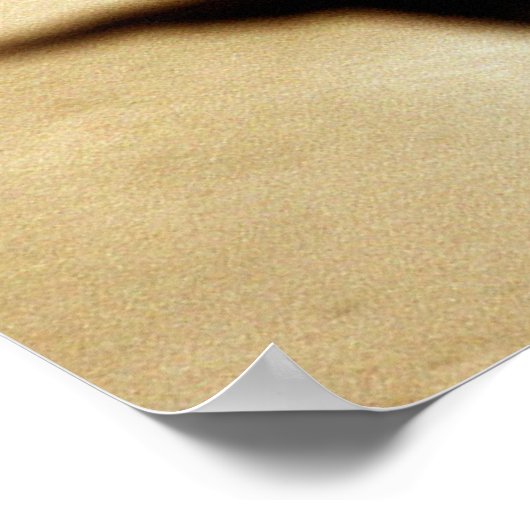 P-38 Blitze und F-15-Adler Poster (Ecke)