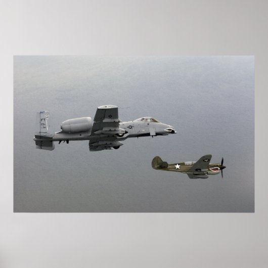 P-40 Tomahawk und A-10 Warthog Poster (Vorne)