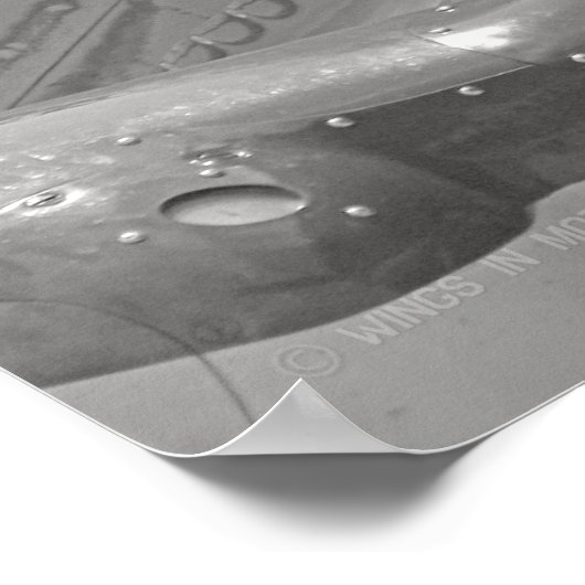 P-40 WARHAWK POSTER (Ecke)