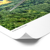 P-47-Donnerbolzen Poster (Ecke)