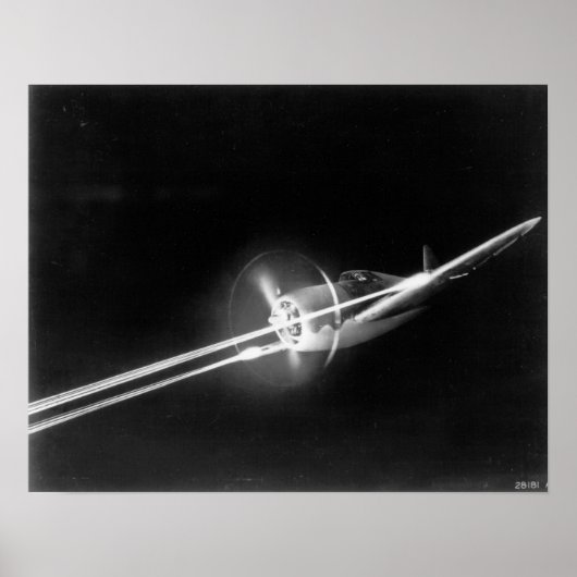 P-47-Donnerbolzen Poster (Vorne)