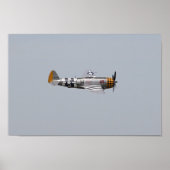 P-47-Donnerbolzen Poster (Vorne)