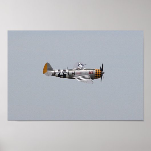 P-47-Donnerbolzen Poster (Vorne)