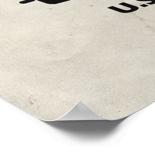 P-47 Thunderbolt Airplane Poster and Decor (Ecke)