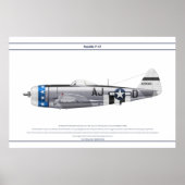 P-47D 356FS USAAF POSTER (Vorne)