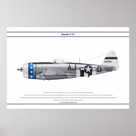 P-47D 356FS USAAF POSTER (Vorne)