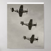 P-51 B und P51D Mustang Poster (Vorne)