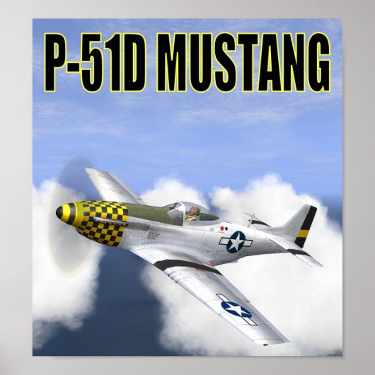 P-51D MUSTANG POSTER (Vorne)