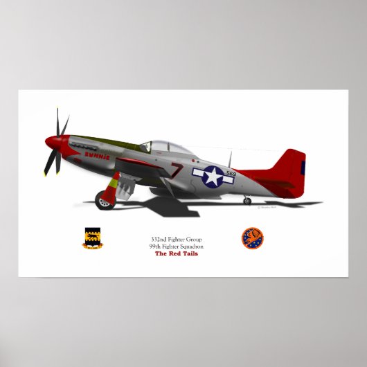 P-51Dtuskegee Poster (Vorne)