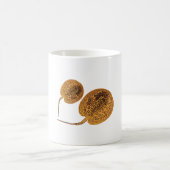 P ist für Peacock Eye Sting Ray Kaffeetasse (Mittel)