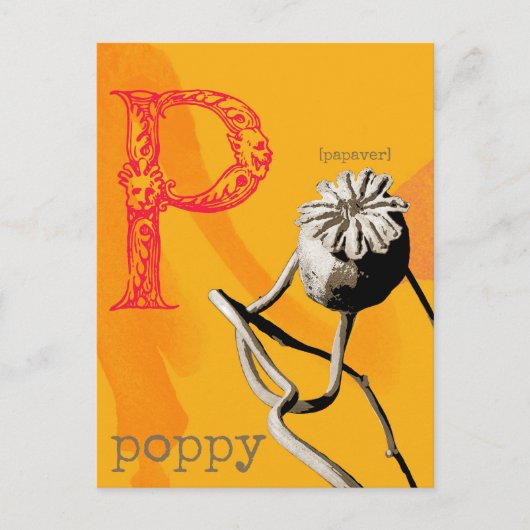 P ist für Poppy Postkarte (Vorderseite)