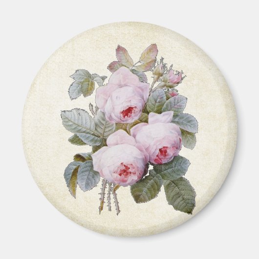 P.J. Redoute Bourbon Rose Bouquet Magnet (Vorne)