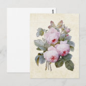 P.J. Redoute Bourbon Rose Floral Postkarte (Vorne/Hinten)