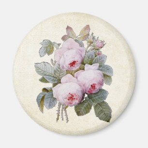 P.J. Redoute Bourbon Rosen-Blumenstrauß Magnet