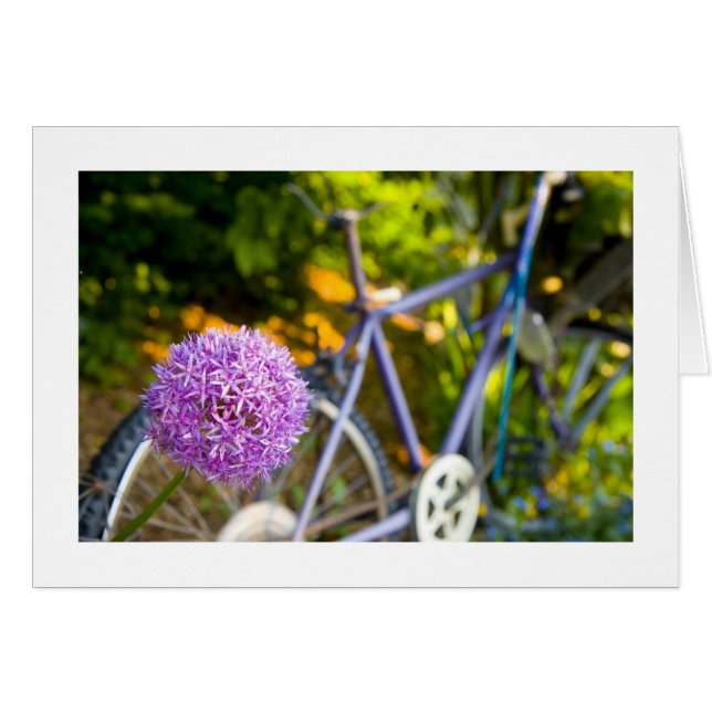 P Pflaster (Vorderseite (Horizontal))