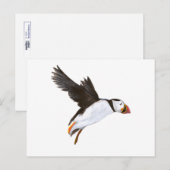 P. Puffin / Postfach Postkarte (Vorne/Hinten)