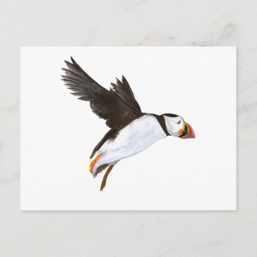 P. Puffin / Postfach Postkarte (Vorderseite)
