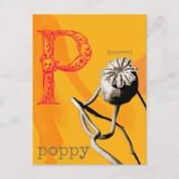 P steht für Poppy