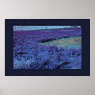 P Unten in Indidigo Poster