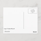 © P Wherrell Niedlich langhaariges graues Kätzchen Postkarte (Rückseite)