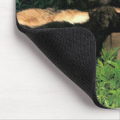 p-Wolves_Bay_Street_Cal2001 Mousepad (Ecke)