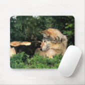 p-Wolves_Bay_Street_Cal2001 Mousepad (Mit Mouse)