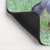 PA grauer Fox-Mausunterlage Mousepad (Ecke)