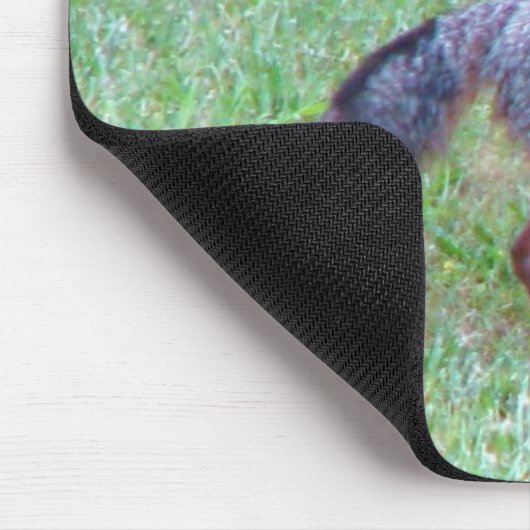 PA grauer Fox-Mausunterlage Mousepad (Ecke)