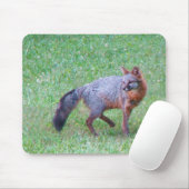 PA grauer Fox-Mausunterlage Mousepad (Mit Mouse)