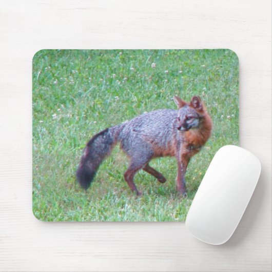 PA grauer Fox-Mausunterlage Mousepad (Mit Mouse)
