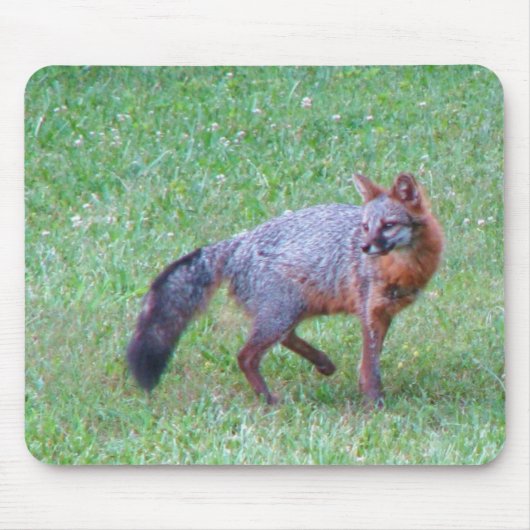 PA grauer Fox-Mausunterlage Mousepad (Vorne)