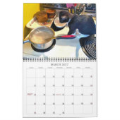 PA Kätzchen 2 Jahre Kalender (Mär 2027)