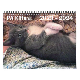 PA Kätzchen 2 Jahre Kalender