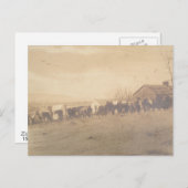 PA-Kavallerie 1865 Postkarte (Vorne/Hinten)