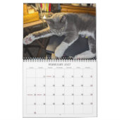 PA Paws 2025 12 Monat Personalisierter Kalender (Feb 2027)